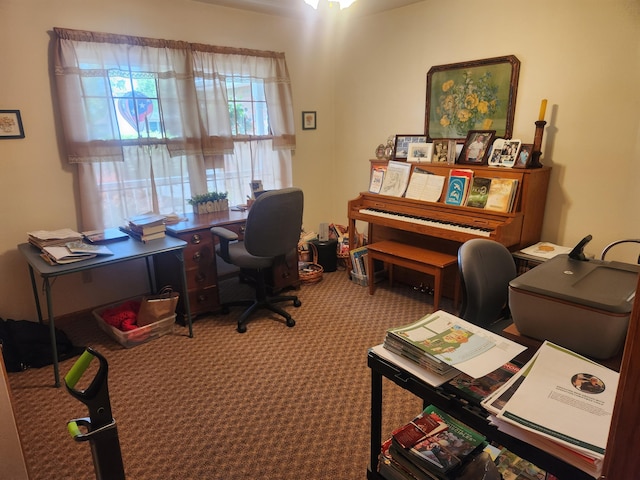 1206 Kimberly Dr, Saint Marys, OH 45885 - office space with carpet flooring