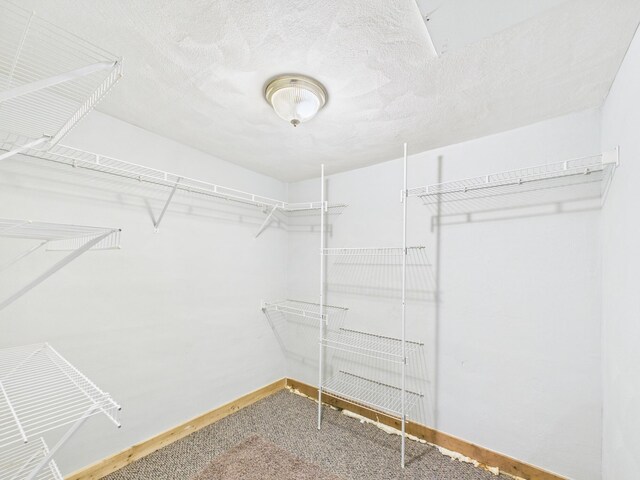 249 W Washington St, New Madison, OH 45346 - spacious closet featuring carpet floors