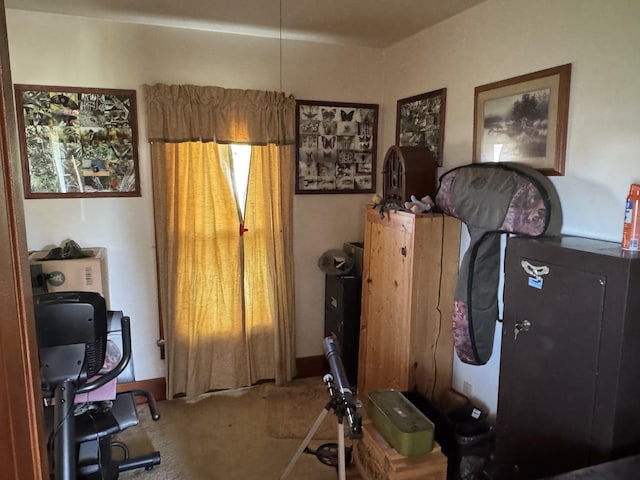interior space featuring carpet floors