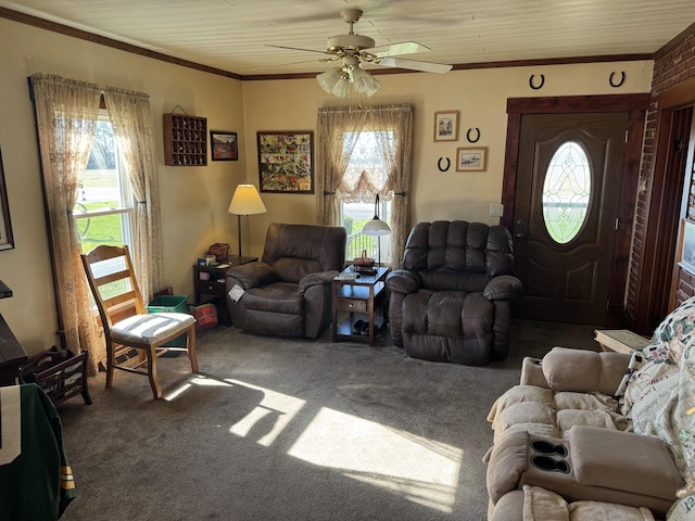 living room featuring carpet flooring, a ceiling fan, and ornamental molding