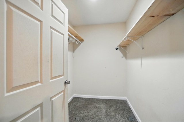 1324 Glenn Ave, Lima, OH 45806 - spacious closet featuring carpet