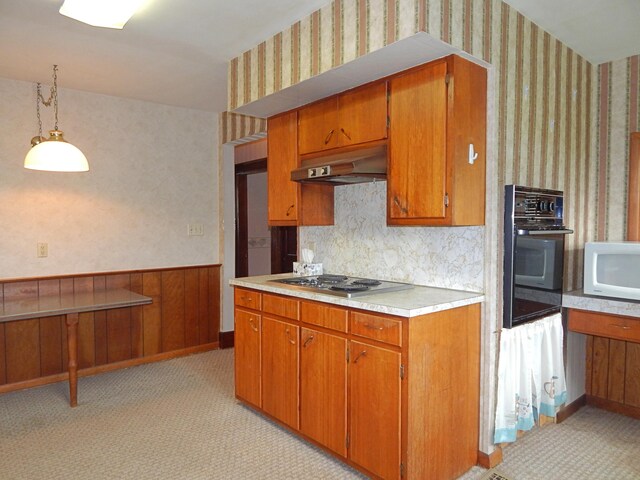 2705 County Road 118, Rushsylvania, OH 43347 - photo 9