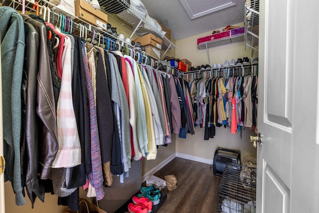 walk in closet with attic access and wood finished floors