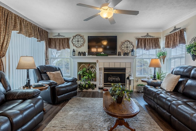 living room with a wealth of natural light, a tiled fireplace, crown molding, and dark wood-style flooring