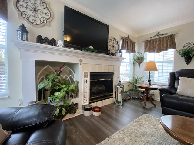 living area with wood finished floors, a fireplace, and ornamental molding