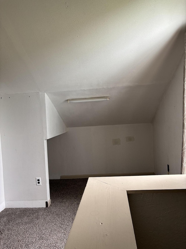 23 E Columbus Rd, South Charleston, OH 45368 - additional living space featuring carpet floors and vaulted ceiling