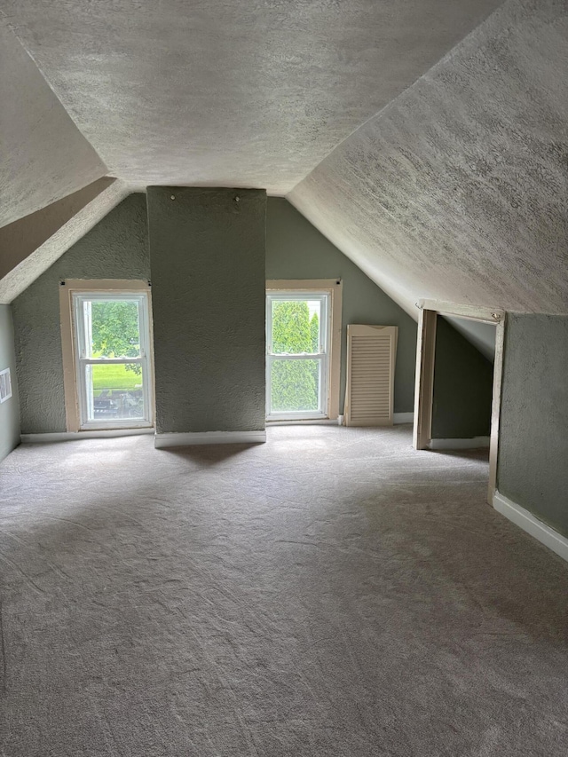 23 E Columbus Rd, South Charleston, OH 45368 - bonus room featuring a textured ceiling, healthy amount of natural light, lofted ceiling, and carpet