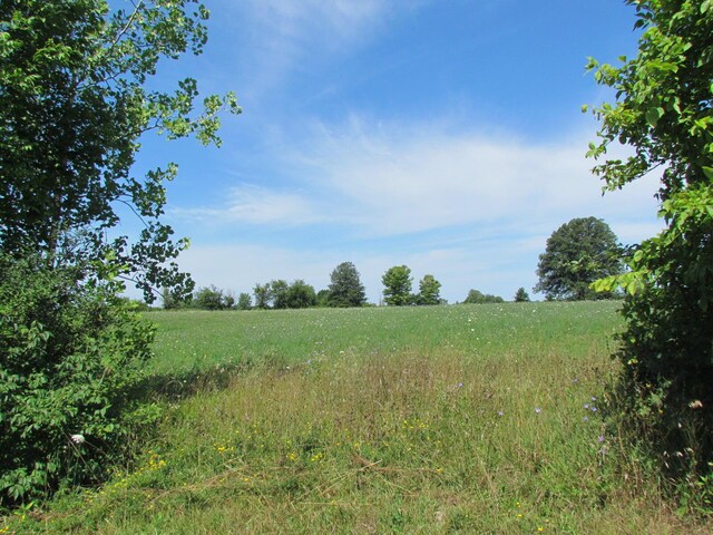 10571 Schenk Rd, Sidney, OH 45365 - photo 32