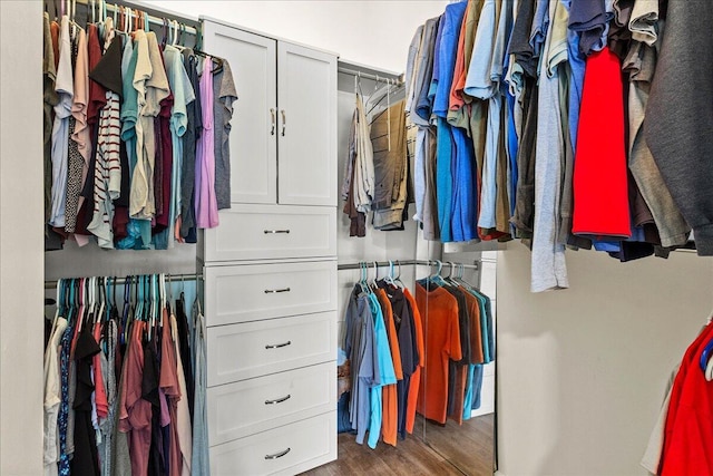 11372 Powhatan Path, Lakeview, OH 43331 - spacious closet with wood finished floors