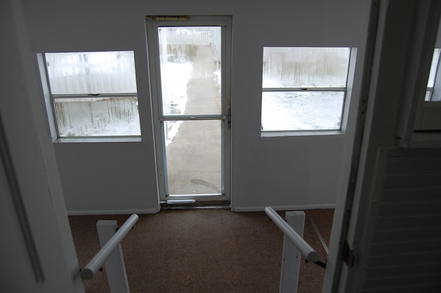 doorway with carpet floors and a healthy amount of sunlight