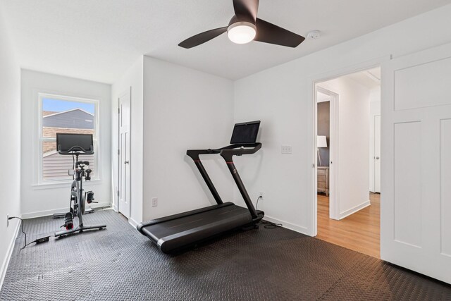 8202 Cherry Birch Dr, Tipp City, OH 45371 - exercise room featuring a ceiling fan and baseboards