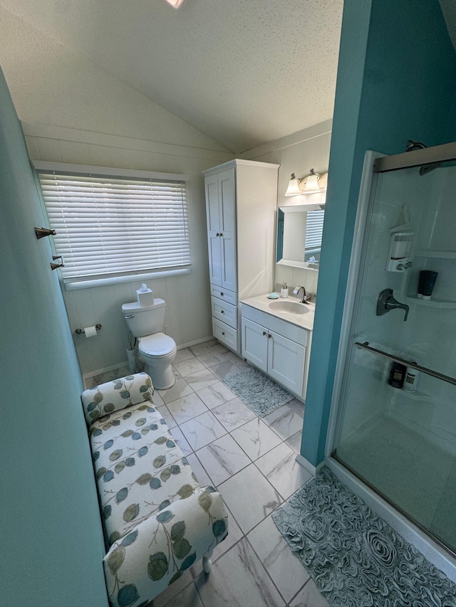 14072 Seminole Path, Lakeview, OH 43331 - full bathroom featuring a stall shower, marble finish flooring, toilet, vaulted ceiling, and vanity