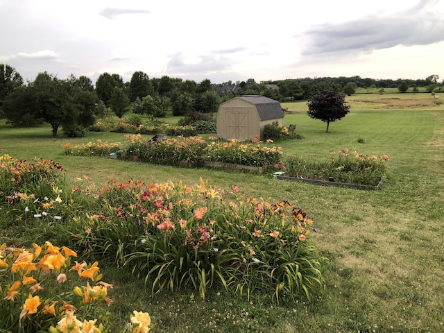 view of yard featuring an outbuilding, a rural view, and a shed