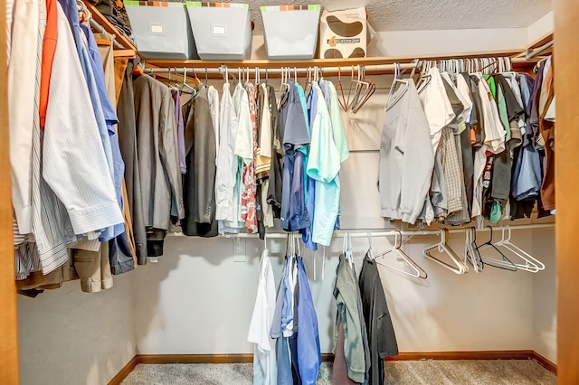 walk in closet featuring carpet floors