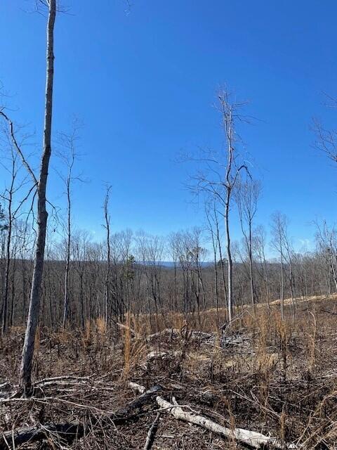 LOT13 River Rd Lot 13, Decatur TN, 37322 land for sale