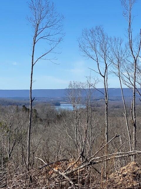 LOT16 River Rd Unit 16, Decatur TN, 37322 land for sale