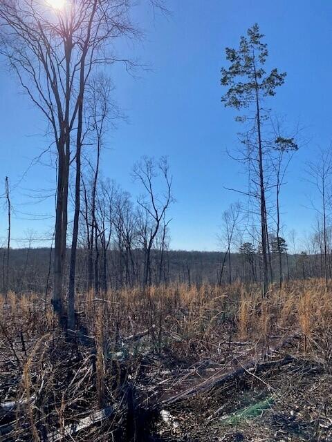 Listing photo 2 for LOT16 River Rd Unit 16, Decatur TN 37322