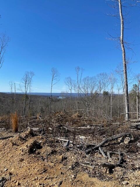 Listing photo 3 for LOT16 River Rd Unit 16, Decatur TN 37322