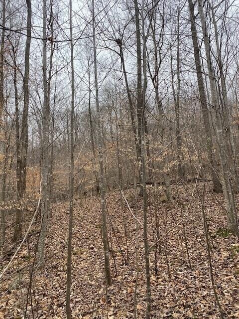 LOT15 River Rd Unit 15, Decatur TN, 37322 land for sale