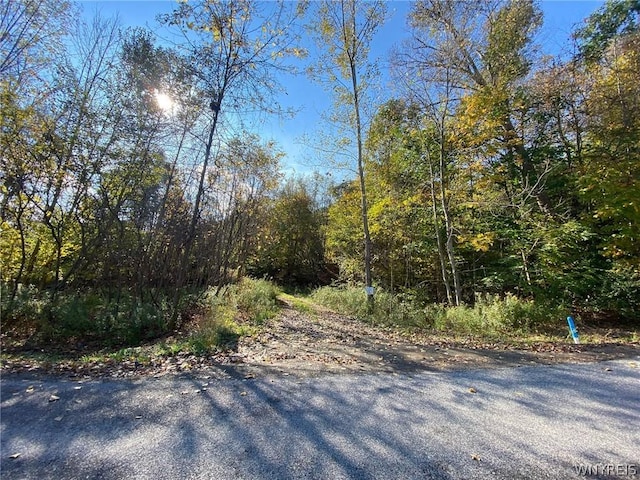 V/L Hillcroft Dr, Boston NY, 14025 land for sale