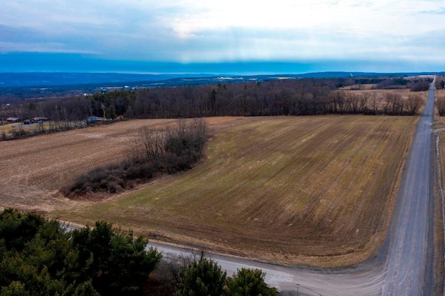 0 Pre-Emption Rd, Starkey NY, 14837 land for sale