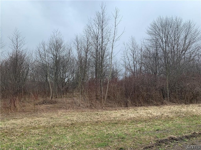 00 Sunrise Dr, Hannibal NY, 13074 land for sale