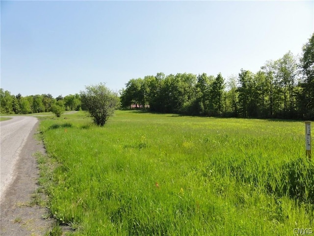 Listing photo 3 for LOT4 New Yorker Ave, Lenox NY 13032