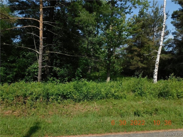 7692 Decker Rd, Evans NY, 14047 land for sale