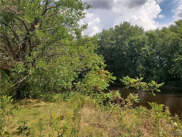 6446 Number Four Rd, Watson, NY 13367 - photo 8