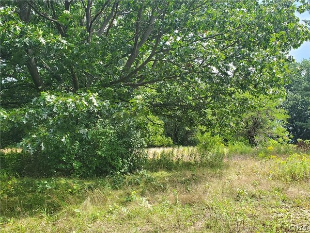 6446 Number Four Rd, Watson, NY 13367 - photo 1