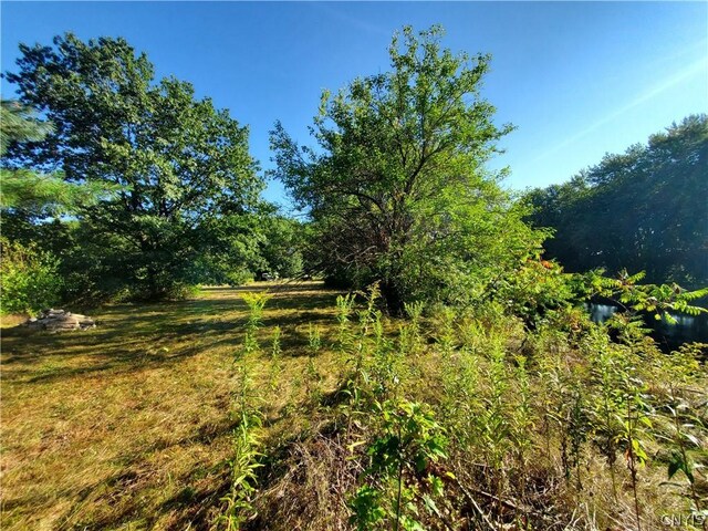 6446 Number Four Rd, Watson, NY 13367 - photo 11