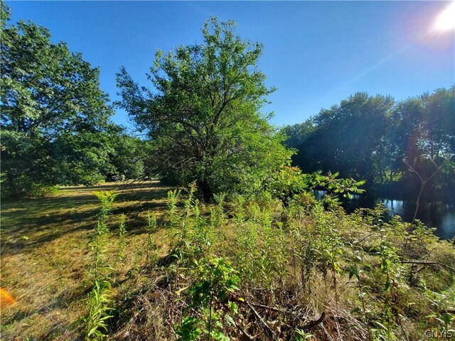 6446 Number Four Rd, Watson, NY 13367 - photo 13