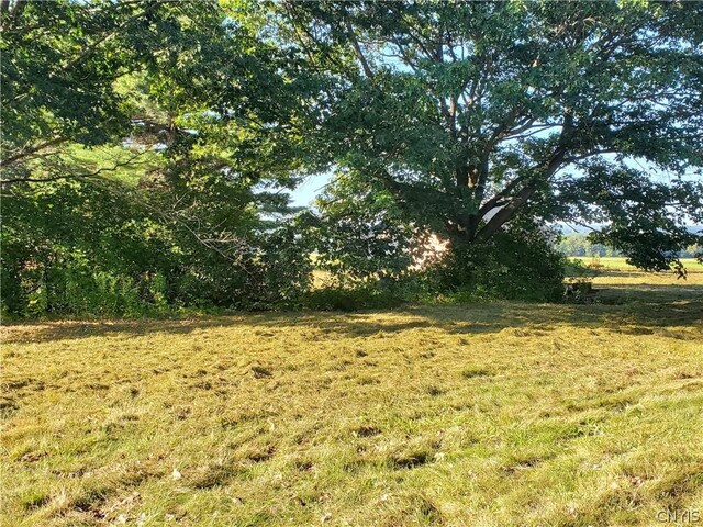6446 Number Four Rd, Watson, NY 13367 - photo 18