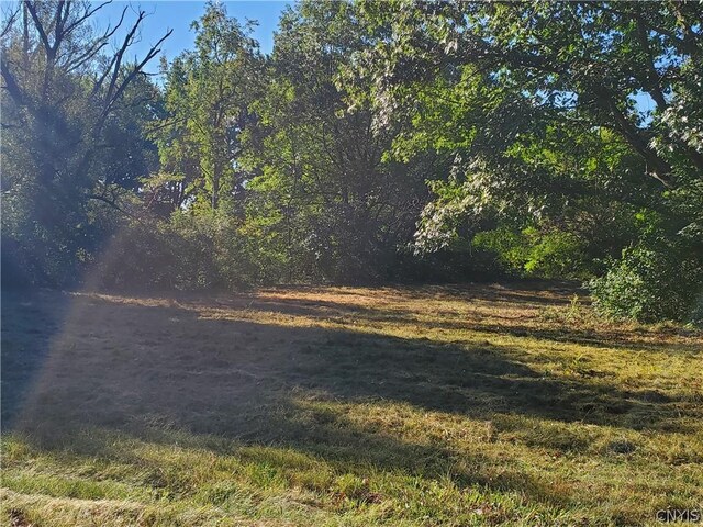 6446 Number Four Rd, Watson, NY 13367 - photo 19