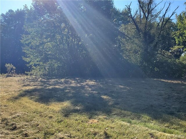 6446 Number Four Rd, Watson, NY 13367 - photo 20