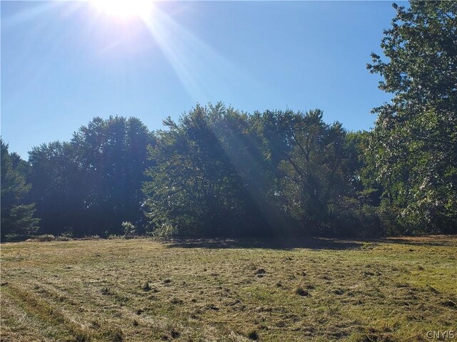 6446 Number Four Rd, Watson, NY 13367 - photo 22