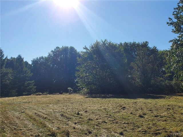 6446 Number Four Rd, Watson, NY 13367 - photo 23