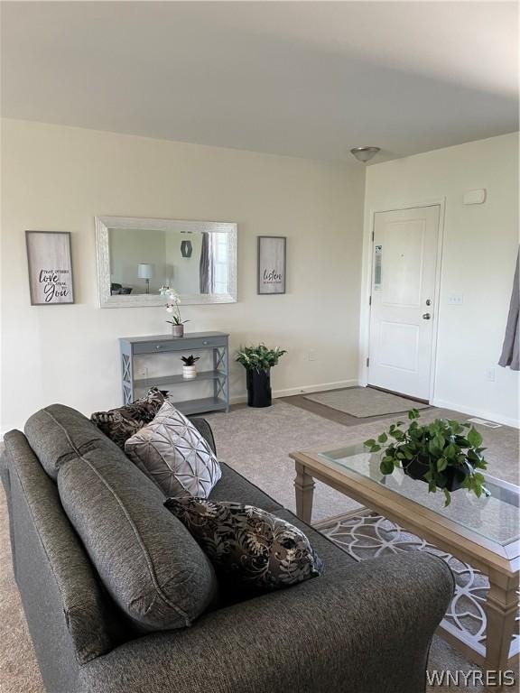 living room featuring carpet floors