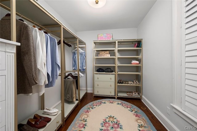 spacious closet with dark hardwood / wood-style flooring