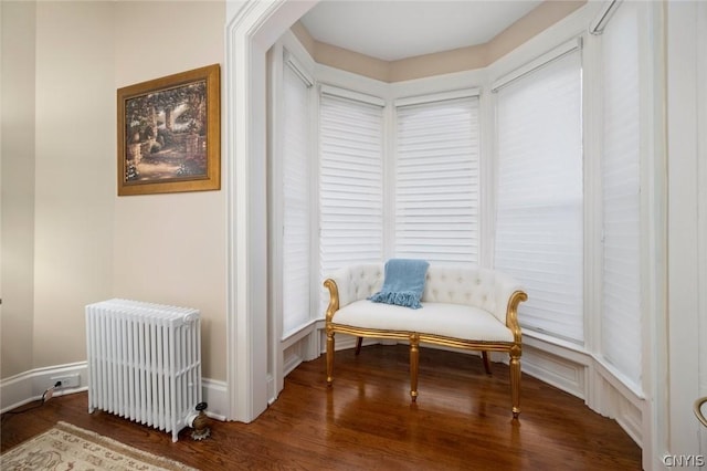 sitting room featuring dark hardwood / wood-style floors and radiator heating unit