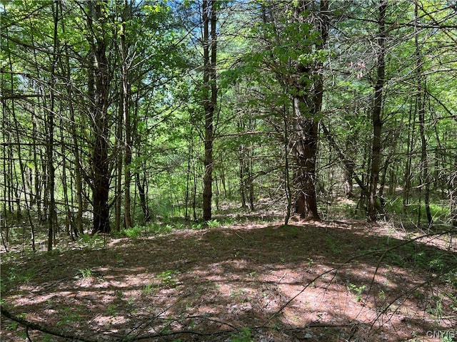 5219 Rome Taberg Rd, Rome, NY 13440 - photo 6