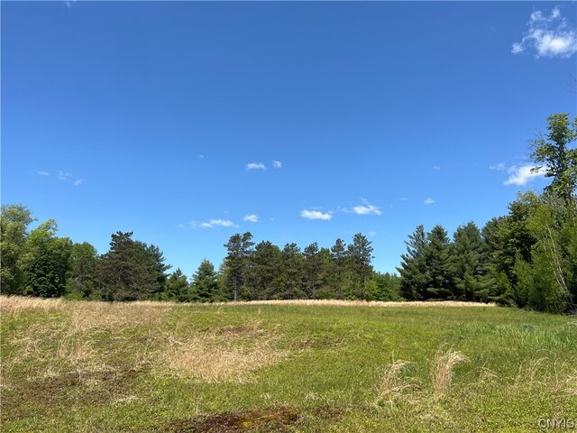 5219 Rome Taberg Rd, Rome, NY 13440 - photo 9