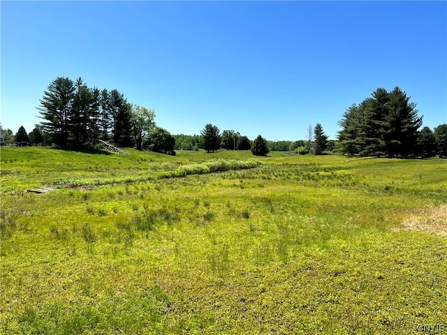 5219 Rome Taberg Rd, Rome, NY 13440 - photo 17