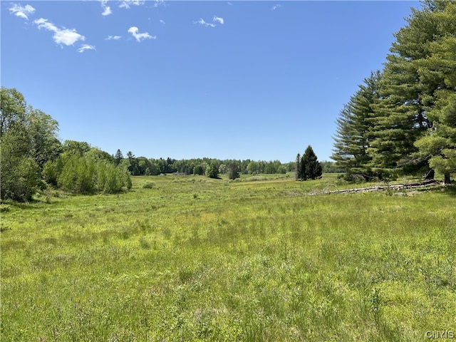 5219 Rome Taberg Rd, Rome, NY 13440 - photo 19