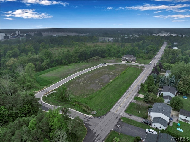 20 Bentley Rd, Orchard Park, NY 14127 - photo 9