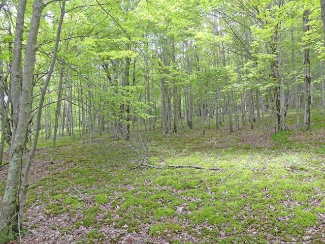 Listing photo 3 for LOT23 Stone Wall Dr, Bovina NY 13740