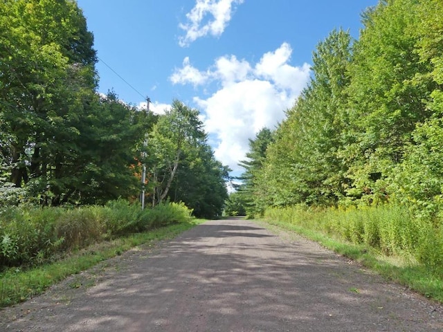 LOT23 Stone Wall Dr, Bovina NY, 13740 land for sale