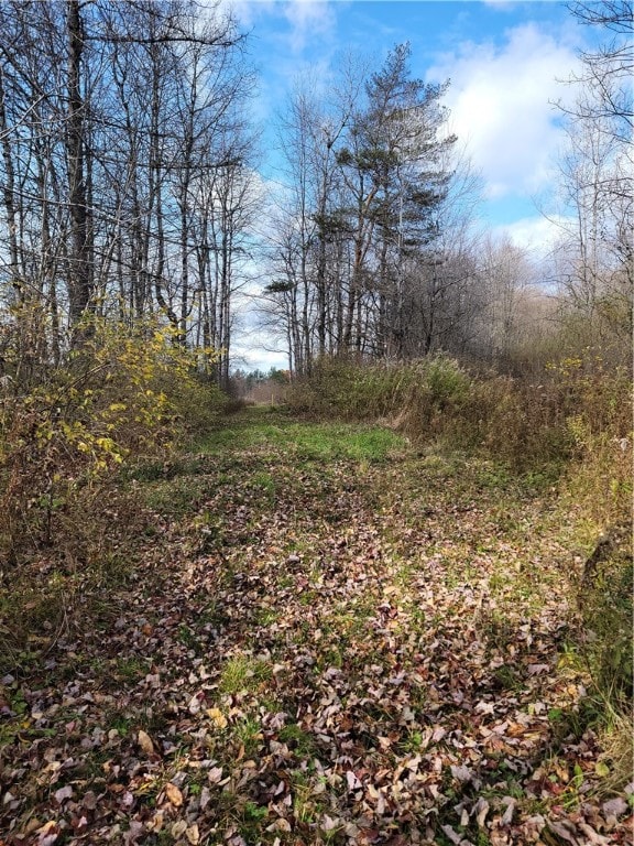 0 Gray Rd, Otselic NY, 13464 land for sale