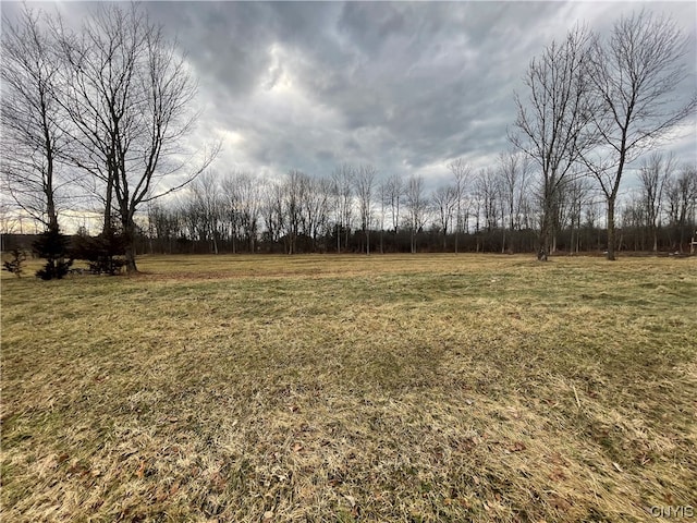 15 Stone Ridge Dr, Scriba NY, 13126 land for sale