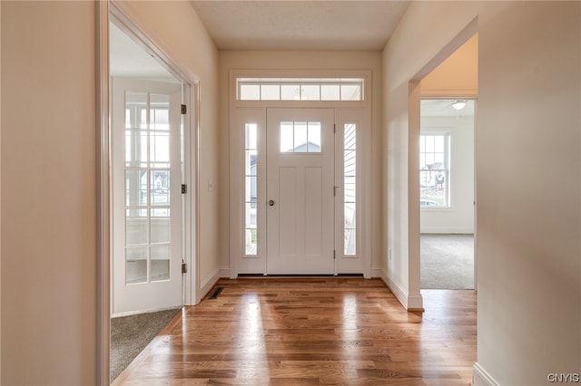 entrance foyer with light hardwood / wood-style flooring and plenty of natural light